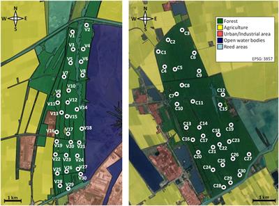 Qualitative and Quantitative Loss of Habitat at Different Spatial Scales Affects Functional Moth Diversity